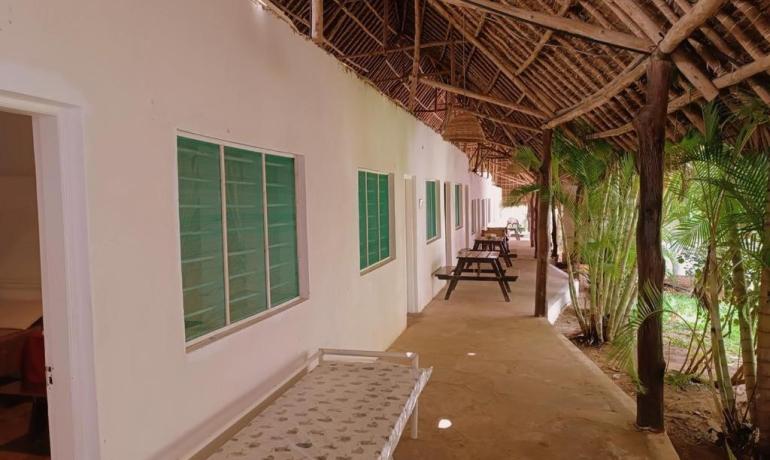 Essential Qualities of Highly Successful Music