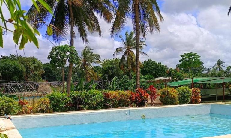 The World Caters to Average People