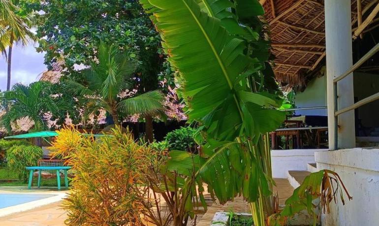 The litigants on the screen are not actors